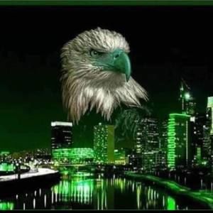 Meet your Posher, Ronald